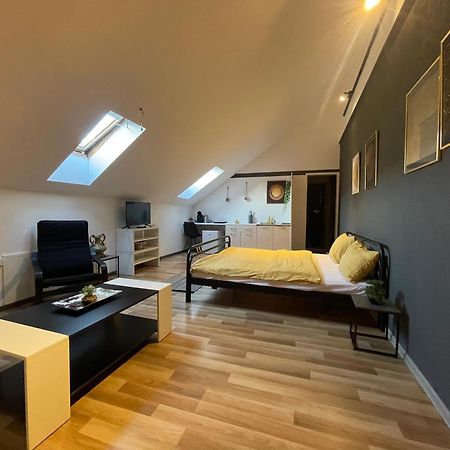 Savoya Nr3 Studio Old City Center Self Check-In Timisoara Ngoại thất bức ảnh