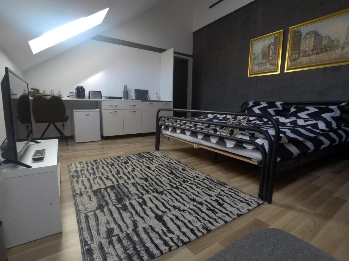 Savoya Nr3 Studio Old City Center Self Check-In Timisoara Ngoại thất bức ảnh