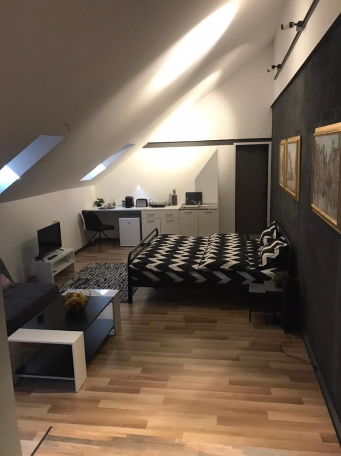 Savoya Nr3 Studio Old City Center Self Check-In Timisoara Ngoại thất bức ảnh