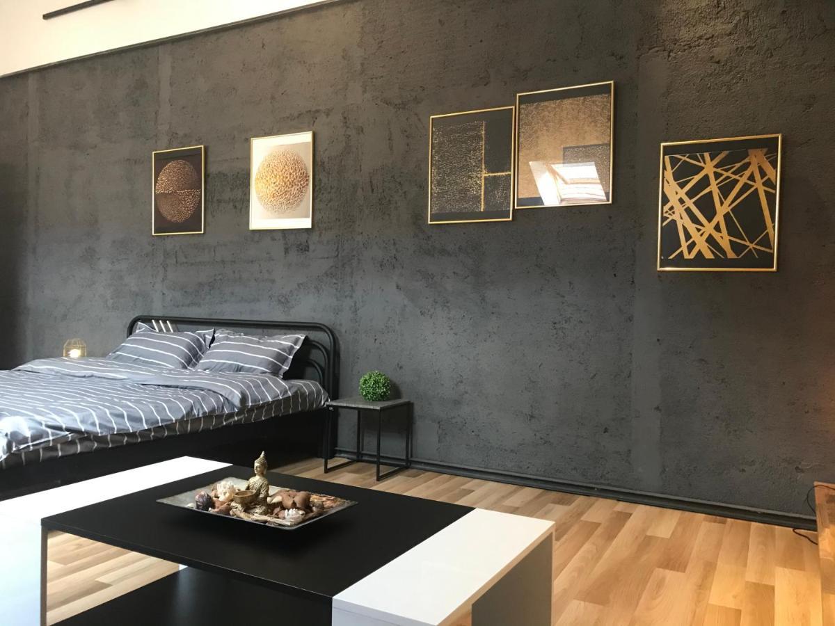 Savoya Nr3 Studio Old City Center Self Check-In Timisoara Ngoại thất bức ảnh