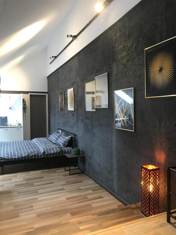Savoya Nr3 Studio Old City Center Self Check-In Timisoara Ngoại thất bức ảnh