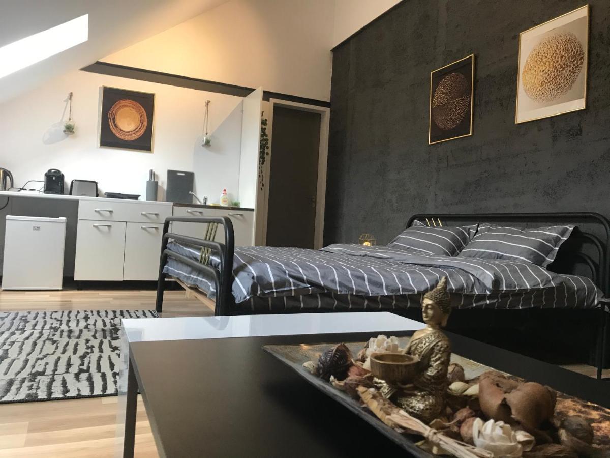 Savoya Nr3 Studio Old City Center Self Check-In Timisoara Ngoại thất bức ảnh