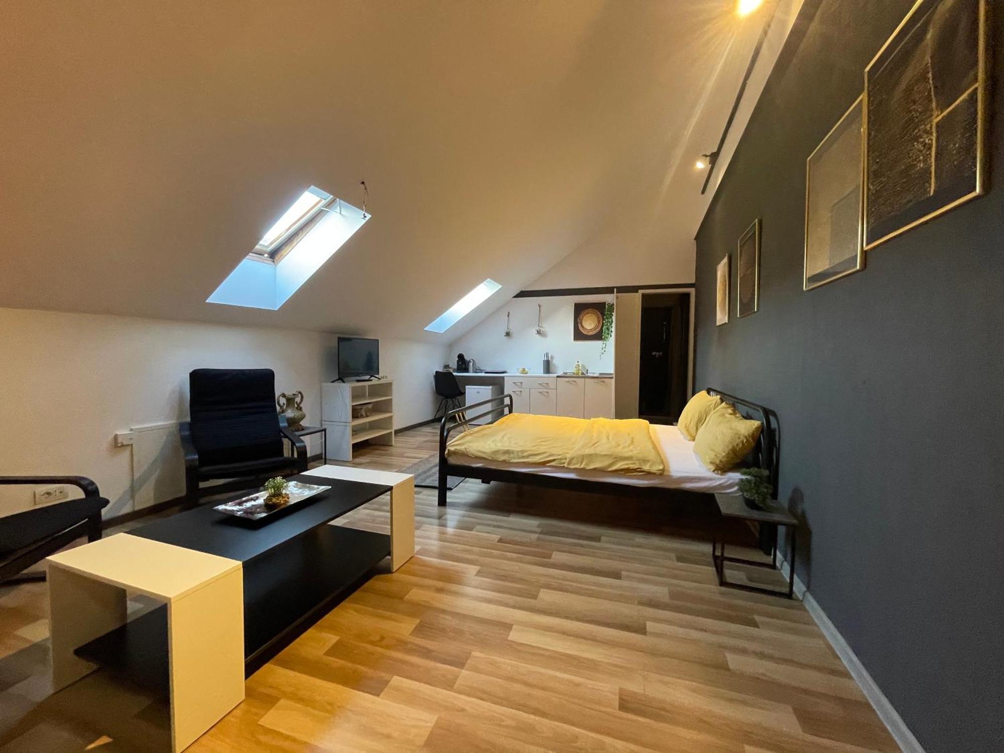 Savoya Nr3 Studio Old City Center Self Check-In Timisoara Ngoại thất bức ảnh