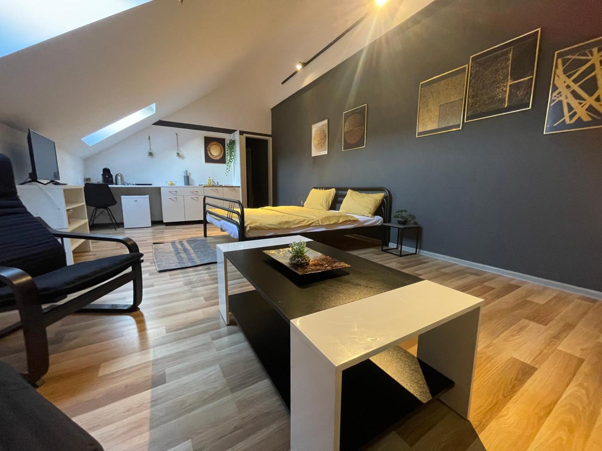 Savoya Nr3 Studio Old City Center Self Check-In Timisoara Ngoại thất bức ảnh
